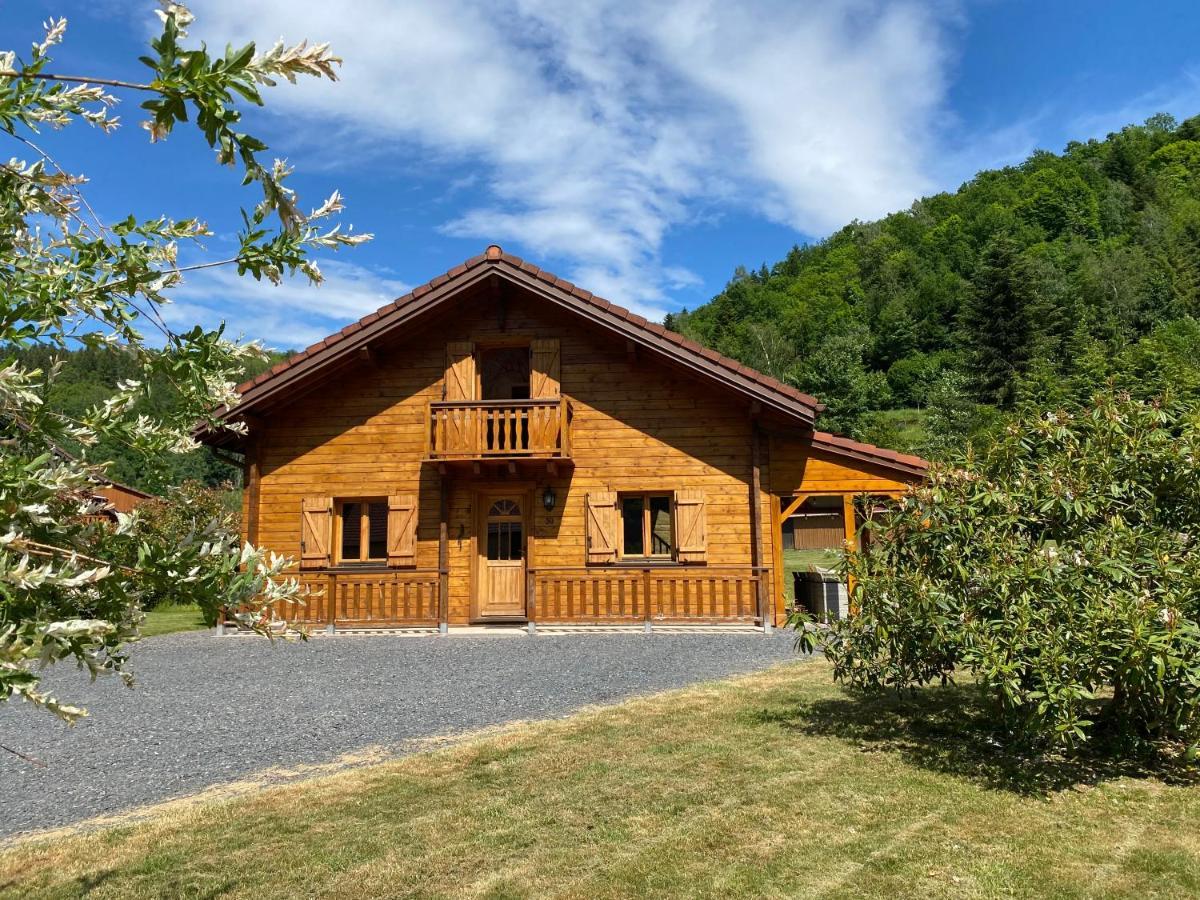 Gite Chalet Avec Bain Nordique Et Piscine 11 Pers Hautes Vosges Plainfaing Buitenkant foto