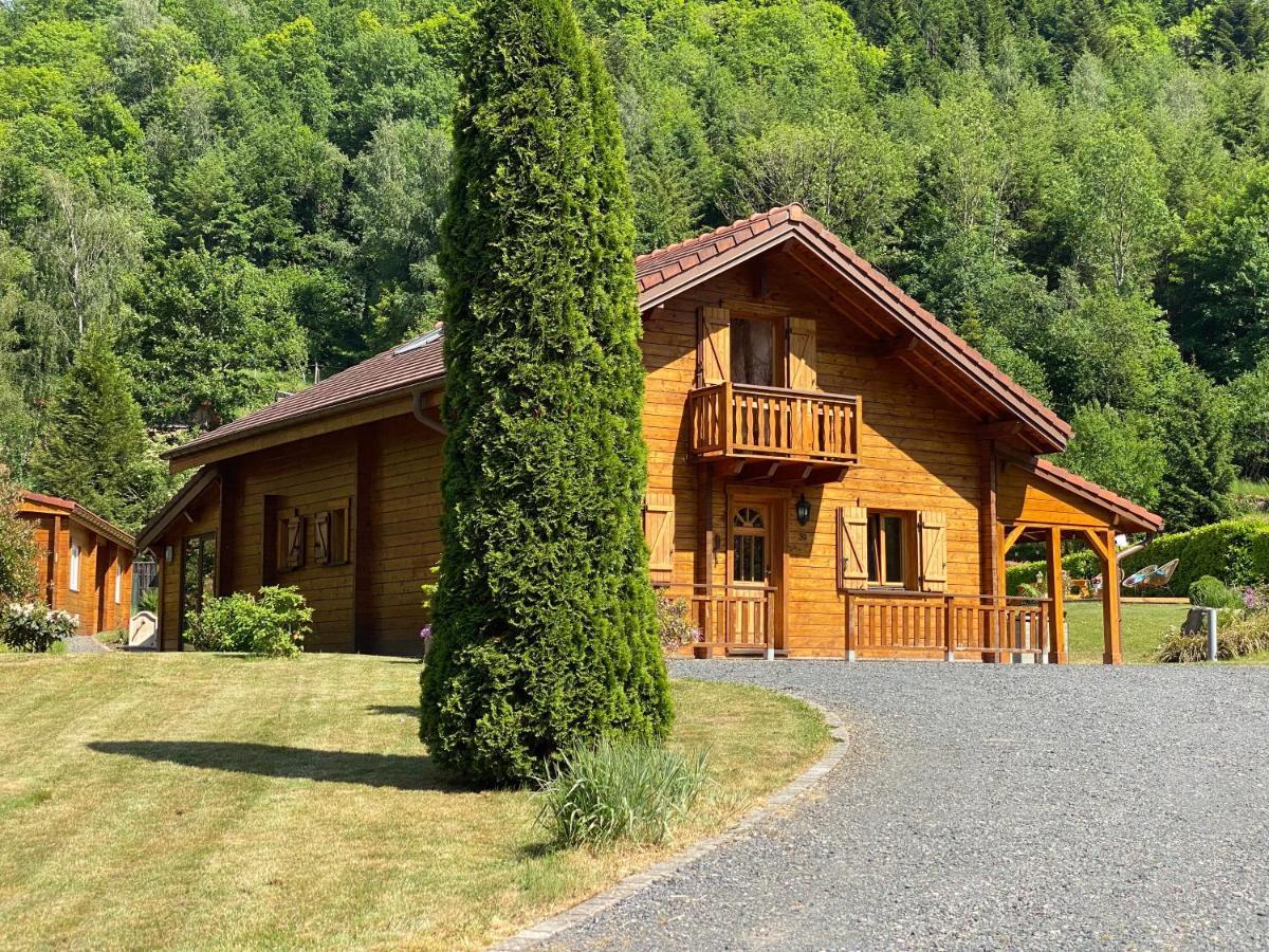 Gite Chalet Avec Bain Nordique Et Piscine 11 Pers Hautes Vosges Plainfaing Buitenkant foto