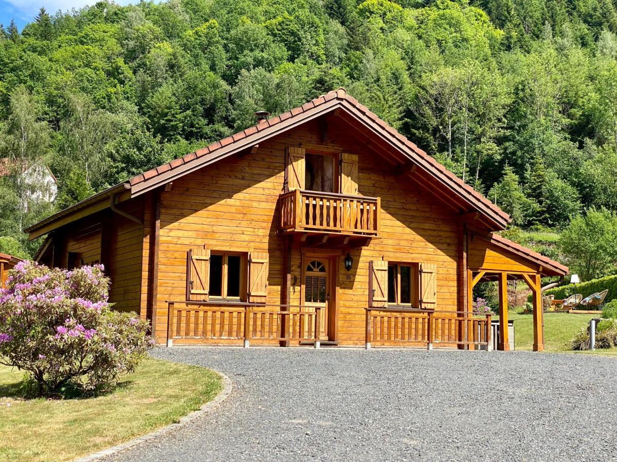 Gite Chalet Avec Bain Nordique Et Piscine 11 Pers Hautes Vosges Plainfaing Buitenkant foto